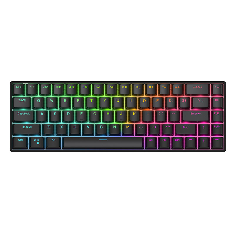 Tastiera meccanica cablata Rav - Gaming Keyboard Magnetic Switches recensione e prezzo